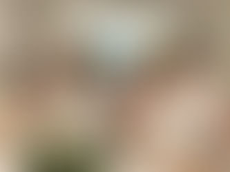 Book Club: The Wedding People