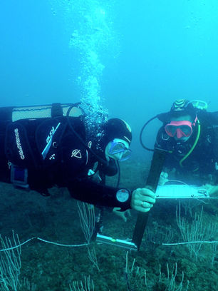 Suivi scientifique de la Réserve Marine de la Côte Palavasienne