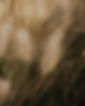 IMG_7300.jpeg