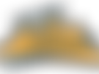 Où en est la vente du SPA ?