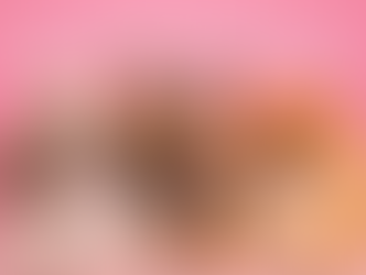 How to Master the De-Matting Comb Like a Pro: The Groomer’s Secret