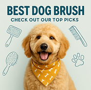 best dog brush