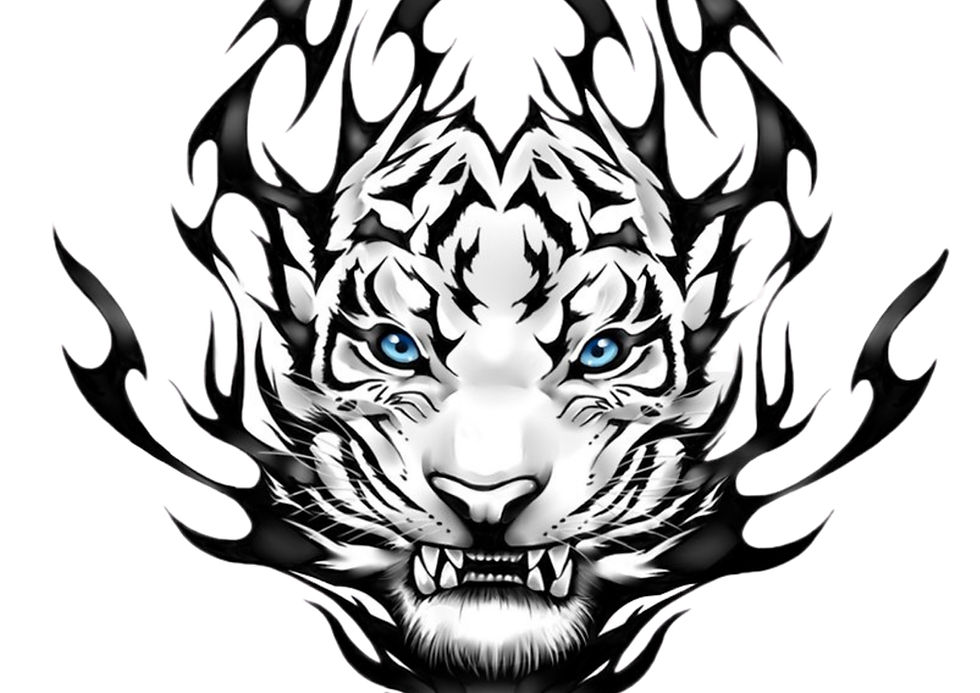 cover.jpg