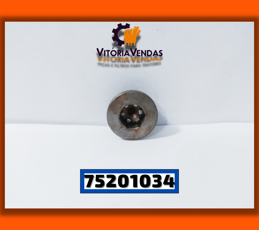 75201034 BUJÃO CARCAÇA COM FINAL (SUPERIOR) FIAT-AD7,7D,10118840