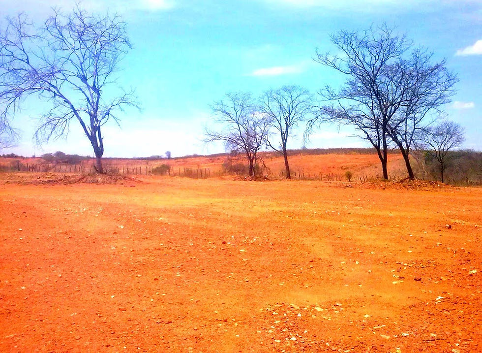 Vende-se terreno (Loteamento Zé Mouriço ) Municipio Santa Cruz-PE.