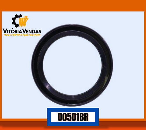 00501BR Retentor Dianteiro do Virabrequim Motor KH1119 | Vitória