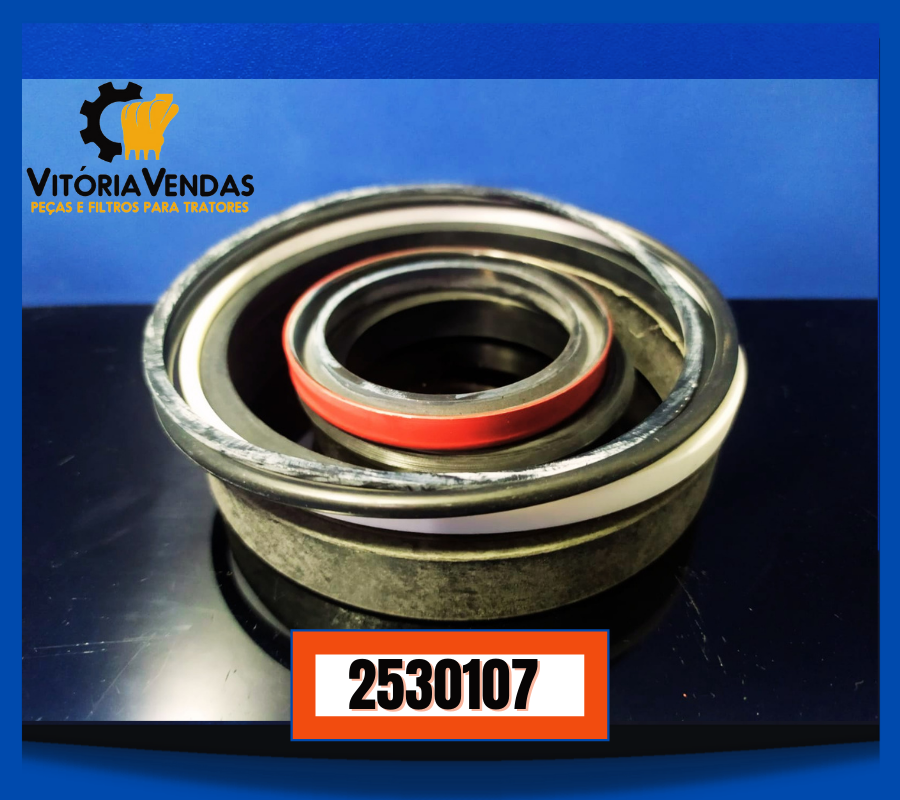 2530107 REPARO-KIT- CIL CAÇAMBA,CONCHA MICHIGAN-45C,55C 253-0107,2530107