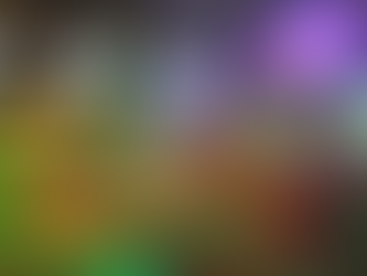 local sports crowd Upper Eastside NYC