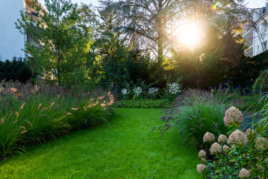Begrünte Außenanlage eines Wohn- und Geschäftshauses in Köln Braunsfeld mit grünem Rasen und Gräsern in der Abendsonne