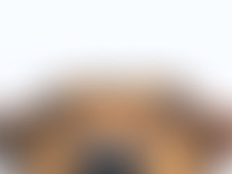 Los perros tienen una habilidad sobrenatural que nunca te hubieras imaginado… o si…