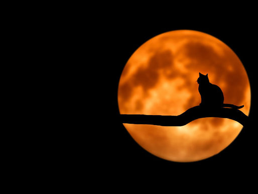 A la Luna con el teléfono celular: la NASA armará una red de telefonía móvil