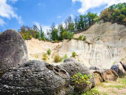 Piedras que respiran crecen y se reproducen
