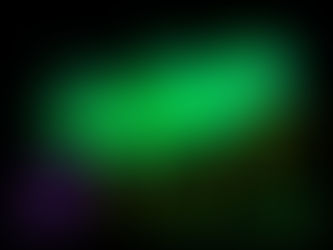 NIDOS DE AVISPAS BRILLAN EN VERDE BAJO LA LUZ ULTRAVIOLETA