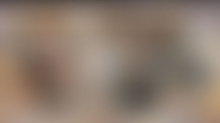UNA VECINA DE MADRID OFRECE 3.000 EUROS DE RECOMPENSA PARA QUIEN ENCUENTRE SU JILGUERO DESAPARECIDO