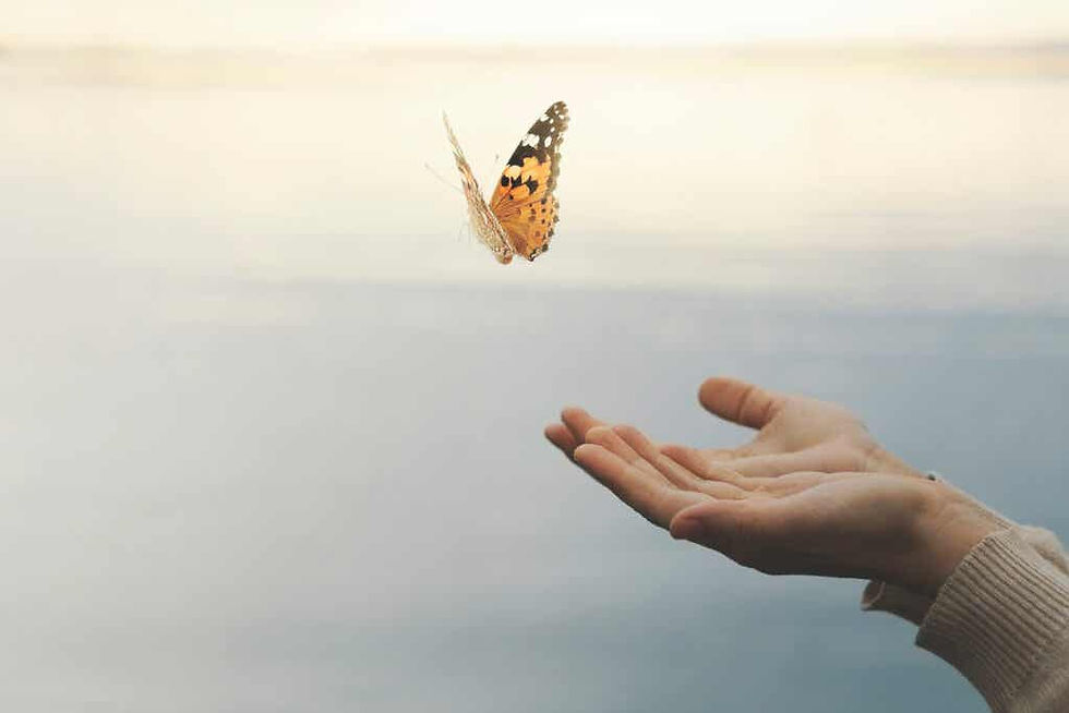 mano simbolizando el movimiento de la mente de mariposa