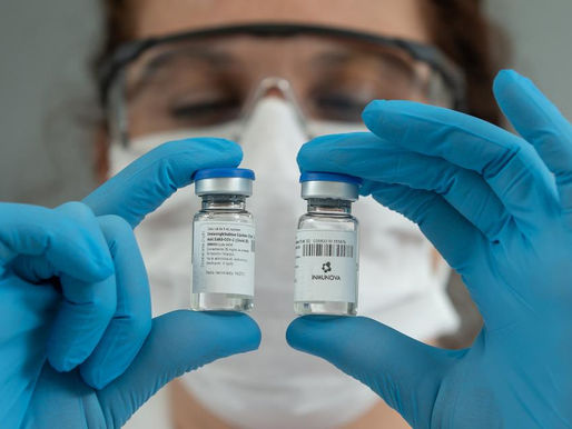 Coronavirus: científicos argentinos desarrollaron un suero de caballos que impide la duplicación del