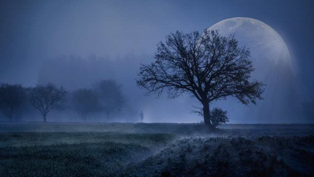Luna llena