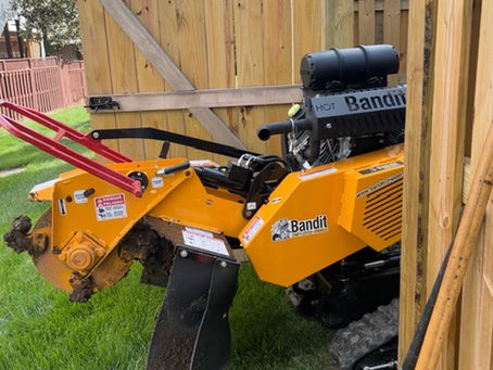 Backyard Stump Removal in Tight Corner Spaces