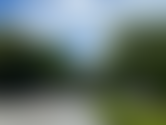 折鶴を奉納しました