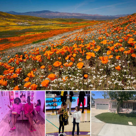 West Coast Wednesdays: Sites to See!