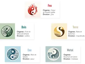 Infographie des 5 éléments: Feu, Bois, Terre, Eau, Métal, avec organes associés et émotions, sur fond blanc.
