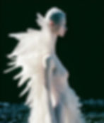 縮圖：Art Prints 「Swan neck 天鹅颈」