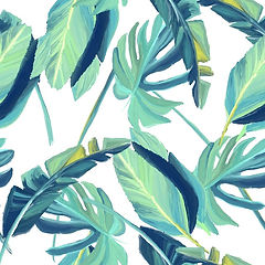 plants-3513046_640_edited.jpg