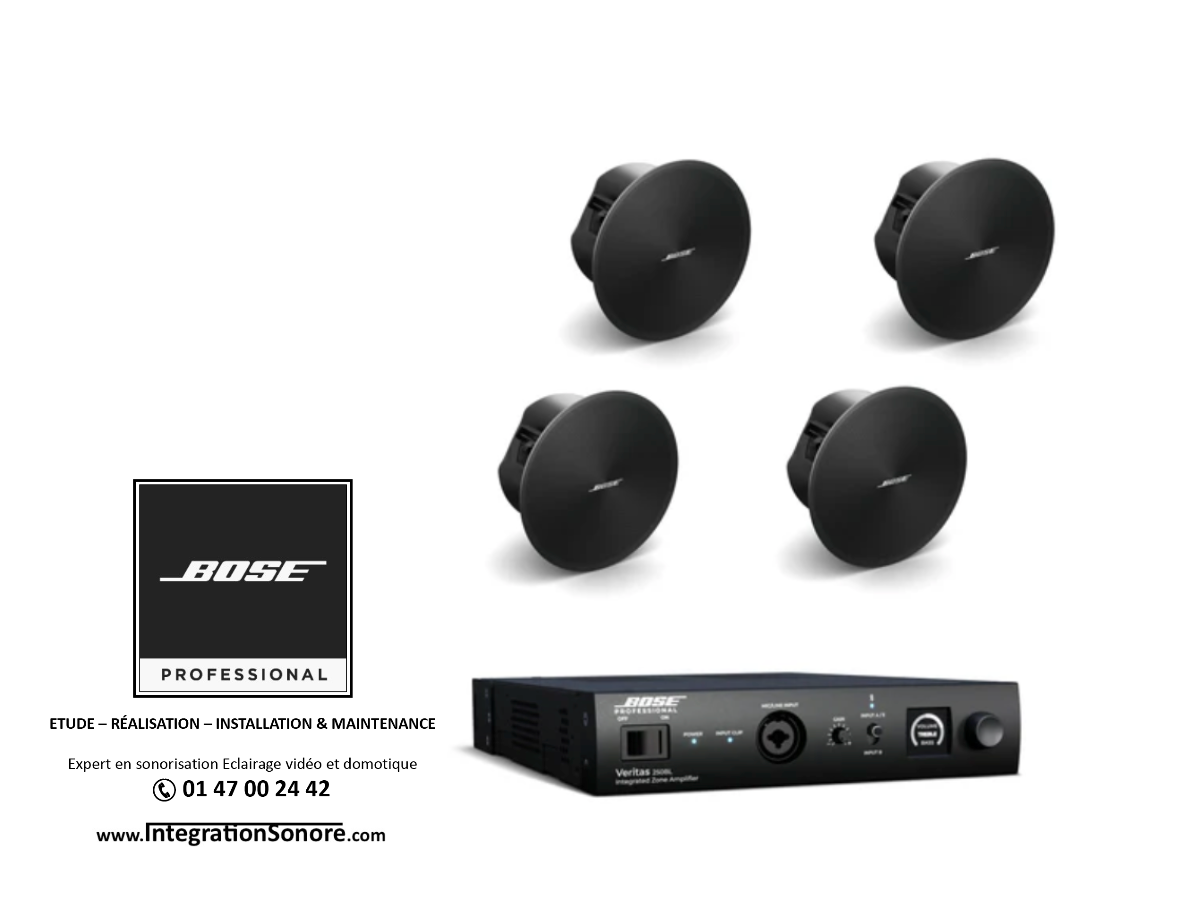 Pack de sonorisation pro Veritas 250BL+4 enceintes DesignMax DM2C