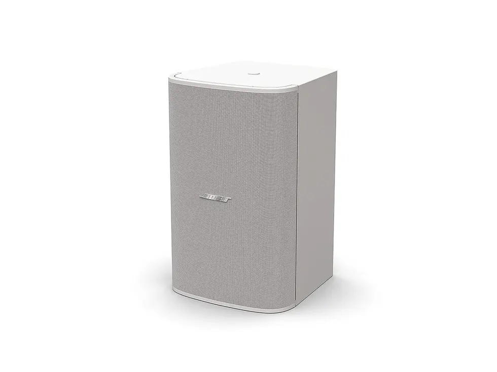 Miniature : Caisson de basse Bose DesignMax DM10S Sub blanche debout