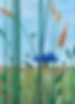 BronwynRaponi-FlowerOfHope-500x700-WEB_RES.jpg