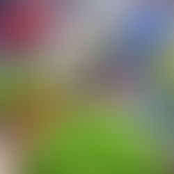 Ecuador desperdicia toneladas de alimentos