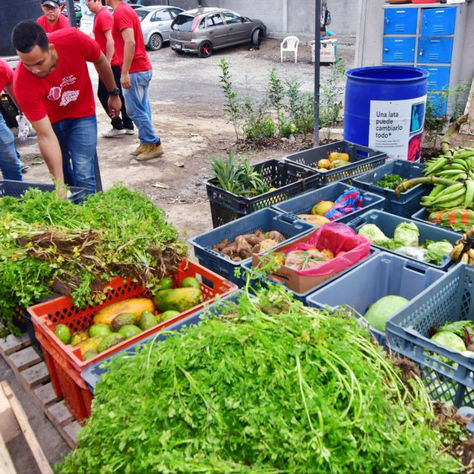 Ecuador desperdicia toneladas de alimentos