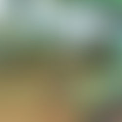 Las autoridades intervienen Buenos Aires