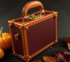 The Mini Leather Trunk