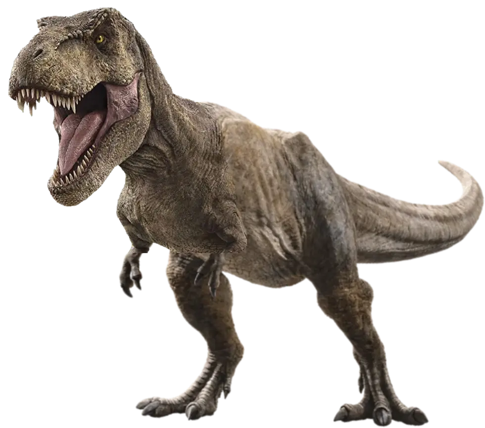 You want it? Come and take it!