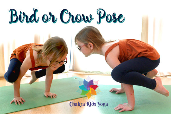 Bird or Crow Pose Kids Yoga Pose