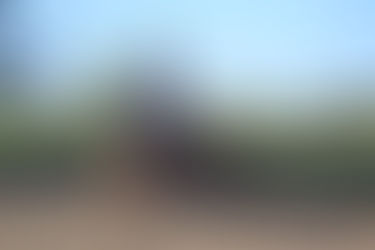 7 Things You Should Be Looking for When Searching for a Horse Trainer