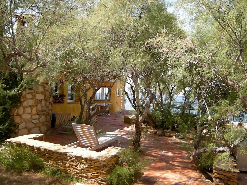 תמונה ממוזערת: montredon