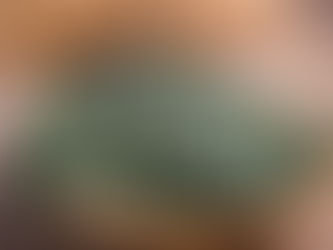 Rong biển sấy khô có tốt cho sức khỏe không?