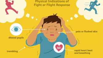 What Is the Fight-or-Flight Response?