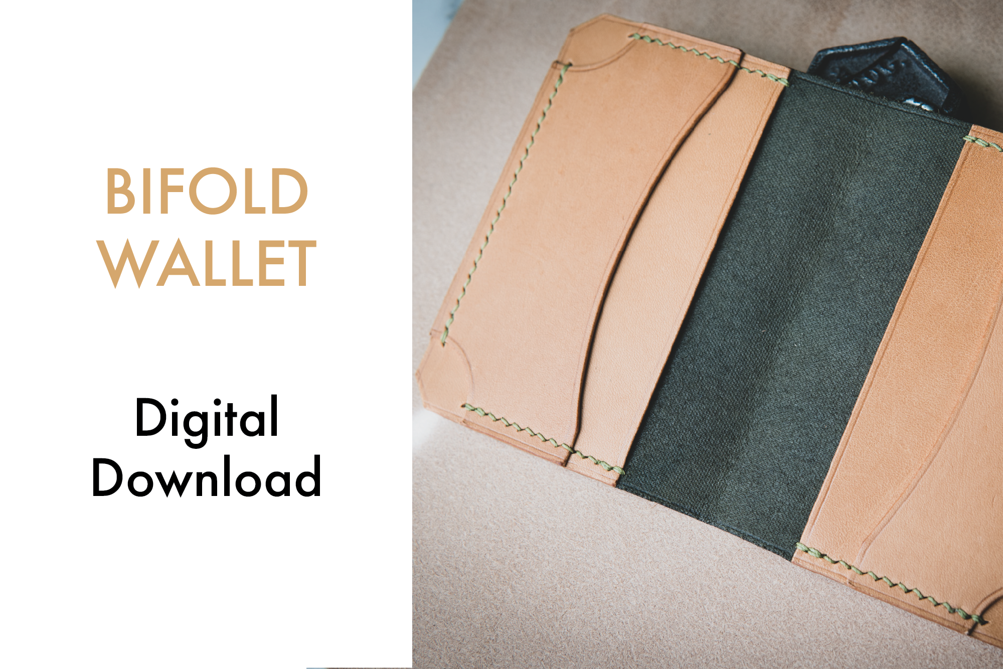 Bifold Wallet Template