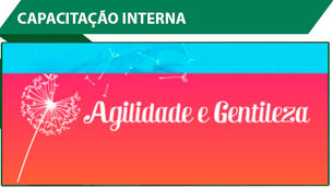 Agilidade e Gentileza