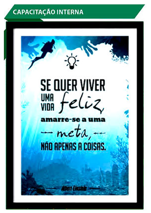Excelência módulo 2
