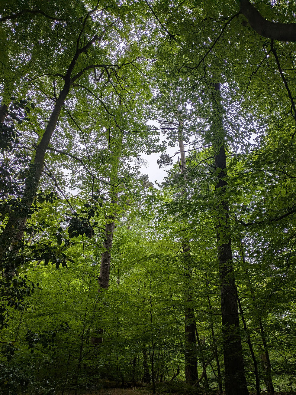 PXL_20250517_093748798