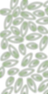 Leaf part of logo as background image