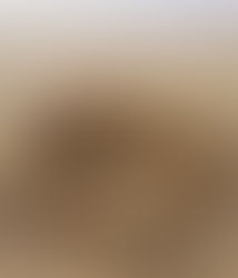 Faithfully following