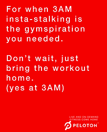 gyminsta.png