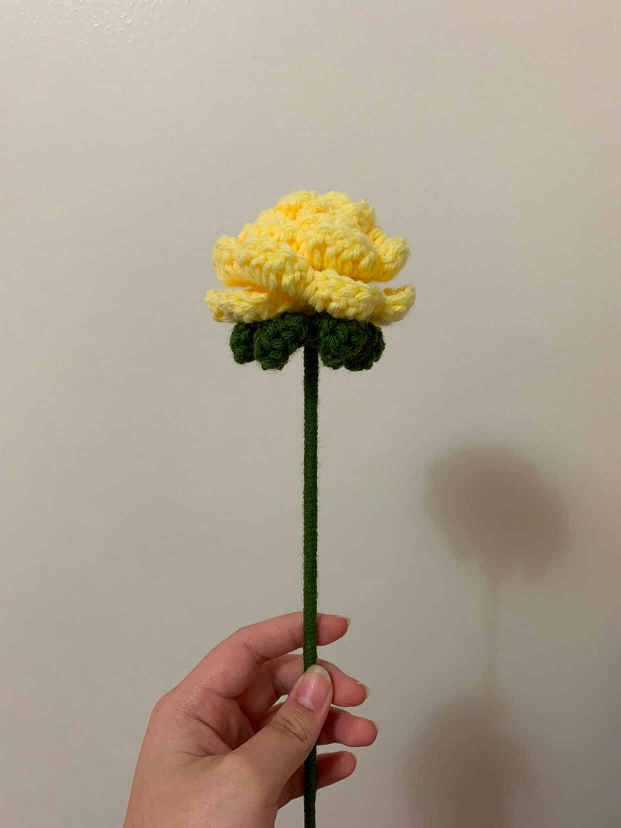 Crochet Roses