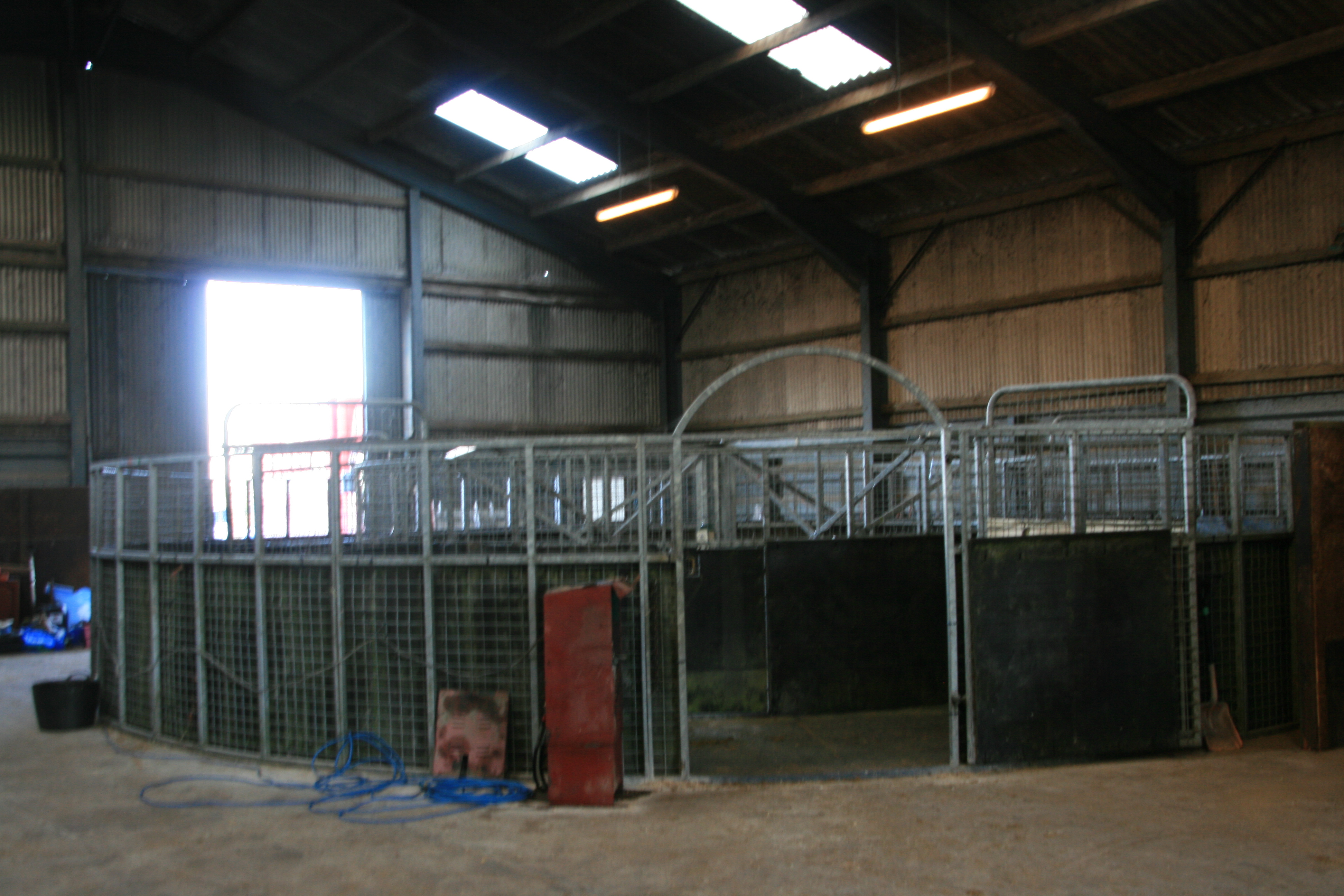 Indoor horse walker