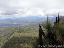 Running down Mount Mitchell in a tropical rainstorm.